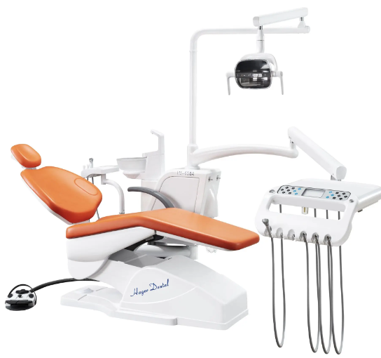 dental unit gnatus